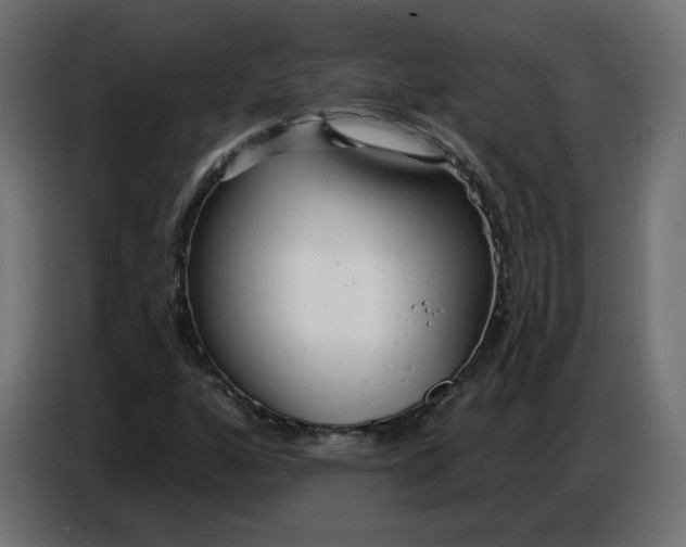 X0000086781160200705041522