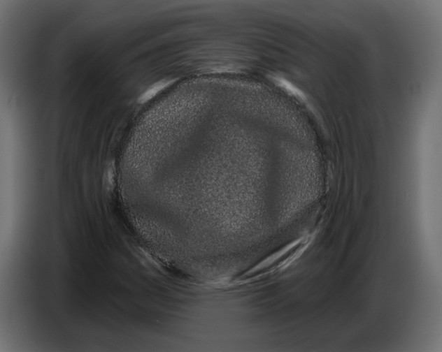 X0000086781161200705041522