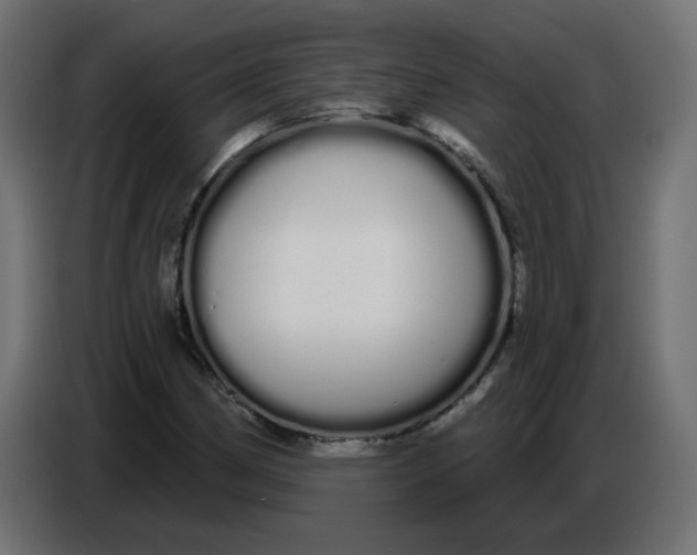 X0000086781162200705041522