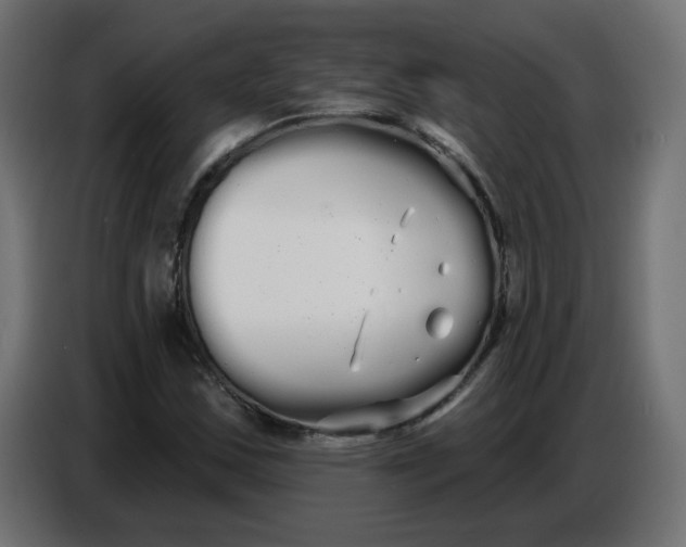 X0000086781163200705041522