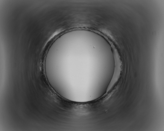 X0000086781165200705041522