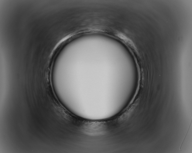 X0000086781166200705041522