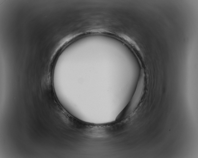 X0000086781167200705041522