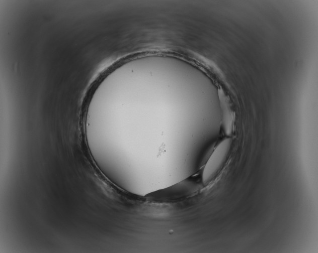 X0000086781168200705041522