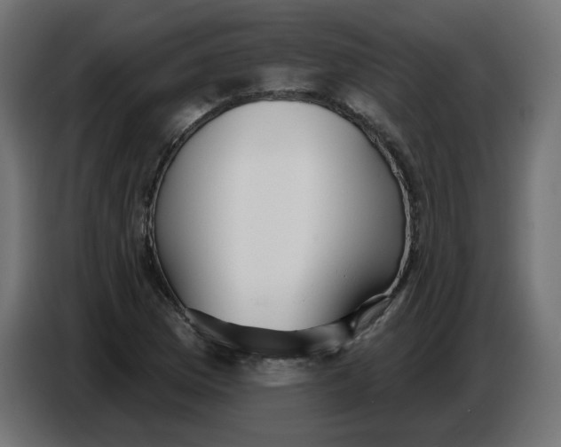 X0000086781169200705041522