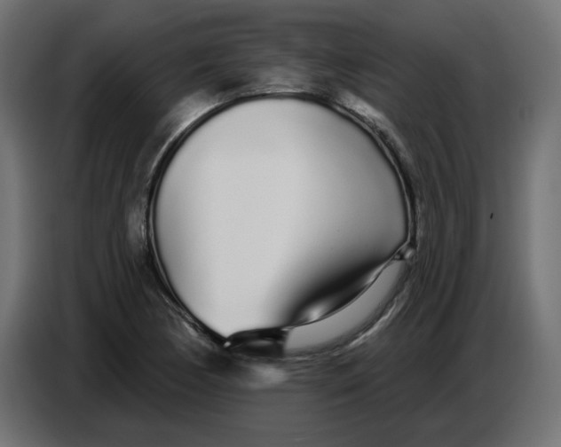 X0000086781170200705041522