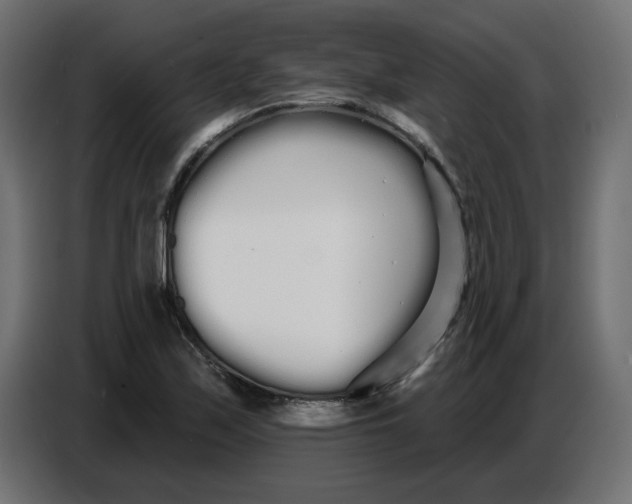 X0000086781171200705041522