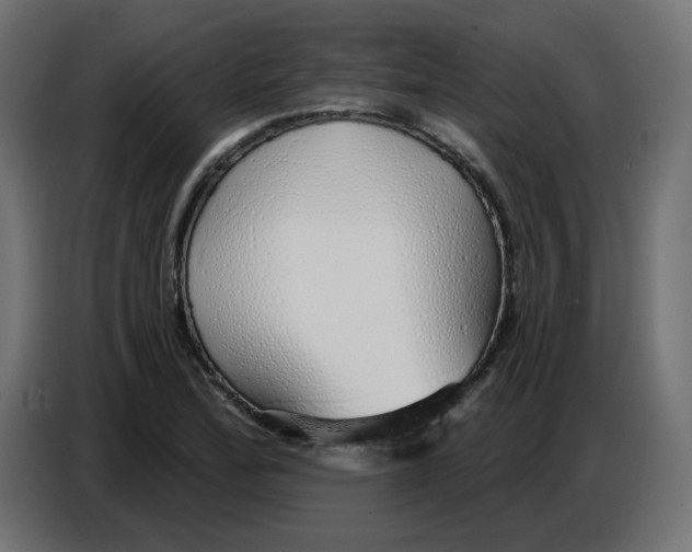 X0000086781172200705041522