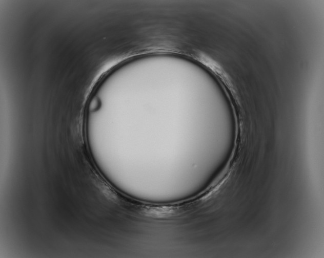 X0000086781174200705041522