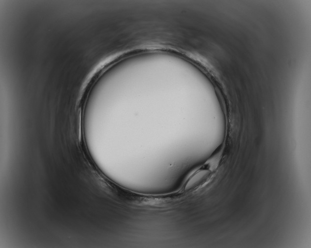 X0000086781175200705041522