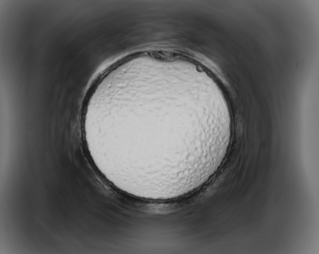 X0000086781176200705041522