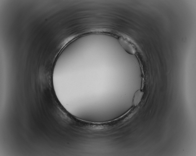 X0000086781177200705041522