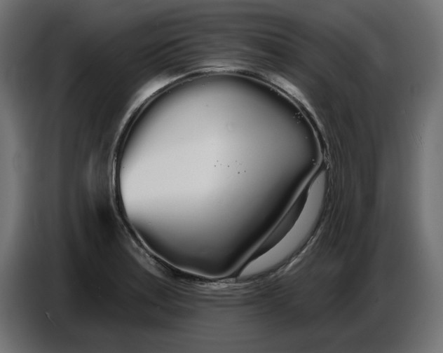 X0000086781179200705041522