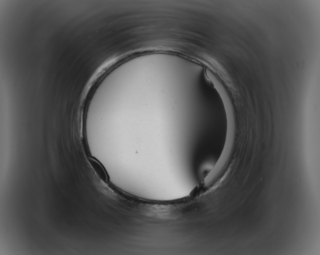 X0000086781180200705041522