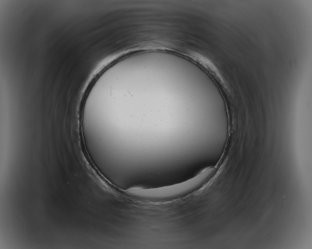 X0000086781184200705041522