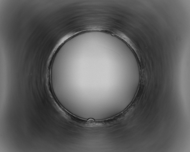 X0000086781187200705041522