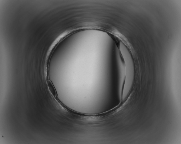 X0000086781188200705041522