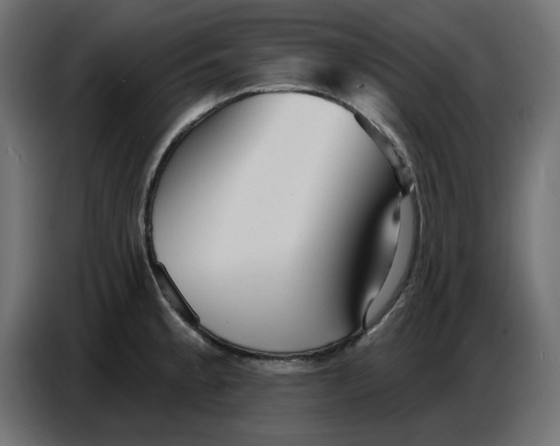 X0000086781189200705041522