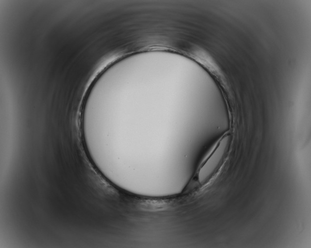 X0000086781190200705041522