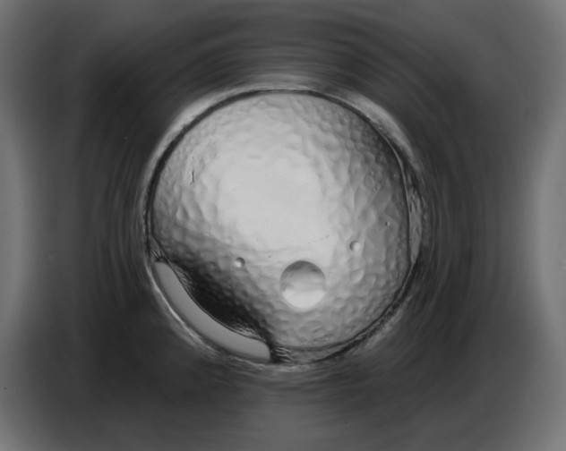 X0000086781192200705041522