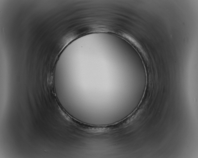 X0000086781193200705041522