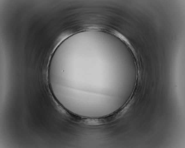 X0000086781194200705041522