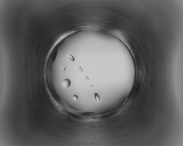 X0000086781195200705041522