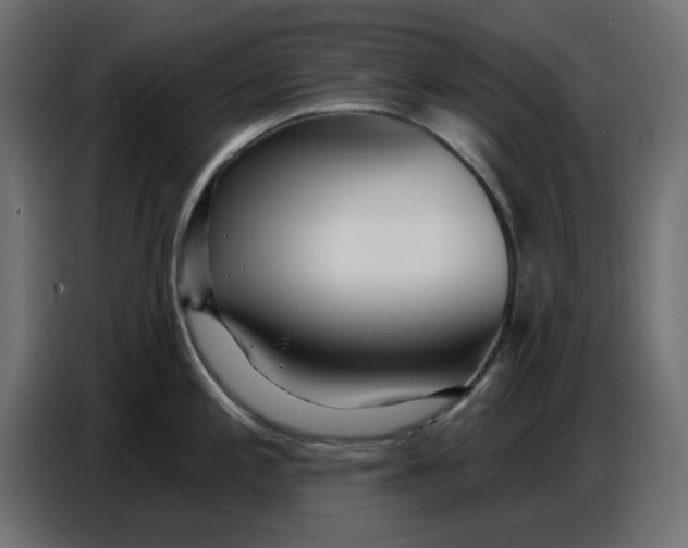 X0000086781197200705041522