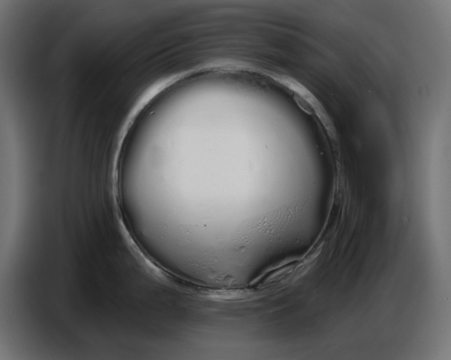 X0000086781199200705041522