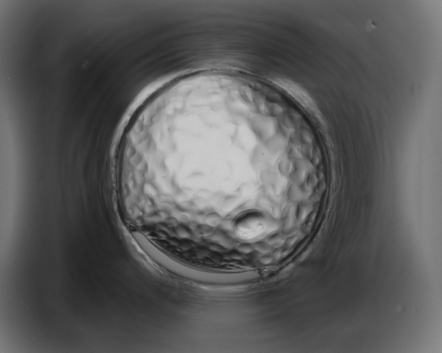 X0000086781200200705041522