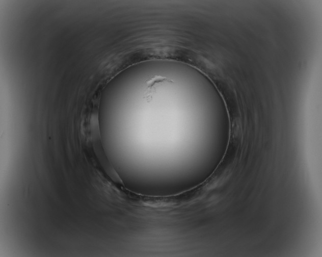 X0000086781202200705041521