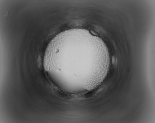 X0000086781203200705041521