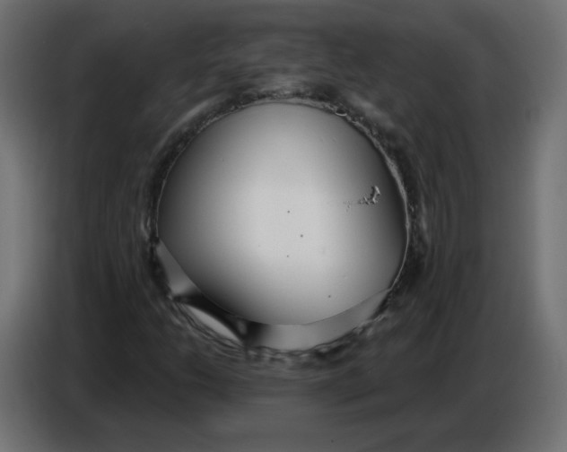 X0000086781206200705041521