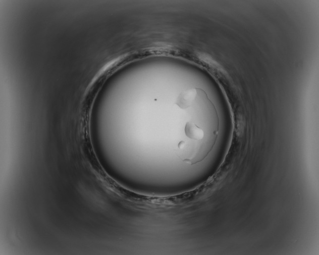 X0000086781208200705041521