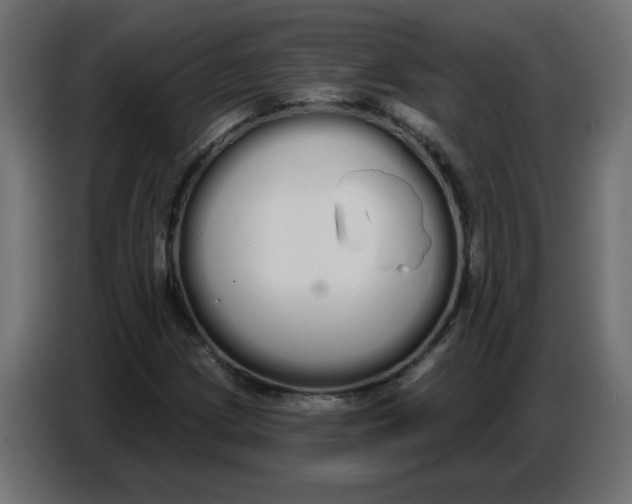 X0000086781209200705041521