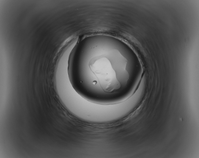 X0000086781210200705041521