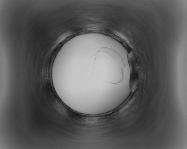 X0000086781211200705041521