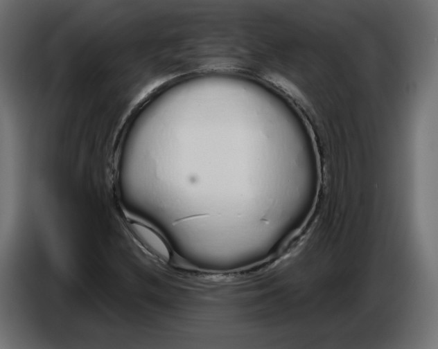 X0000086781212200705041521