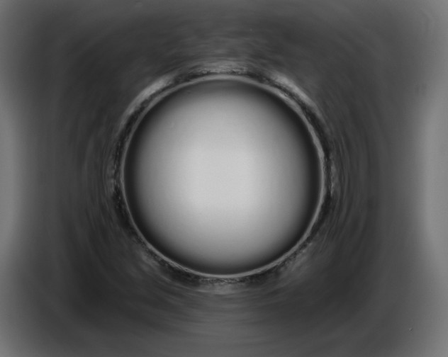 X0000086781213200705041521