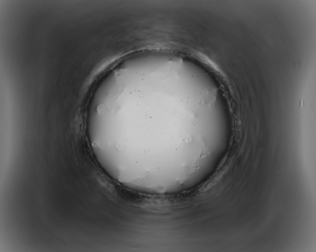 X0000086781215200705041521