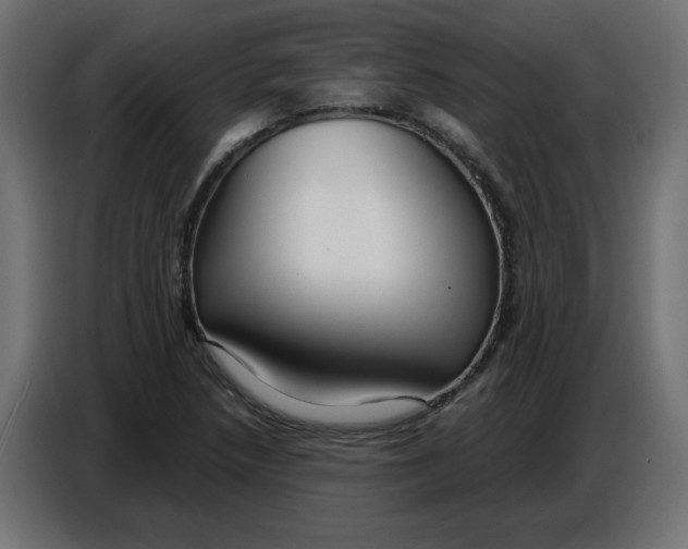 X0000086781218200705041521