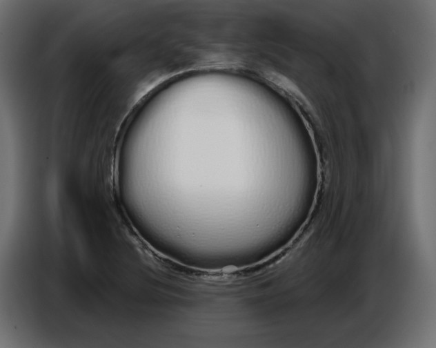 X0000086781220200705041521