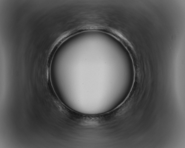 X0000086781221200705041521