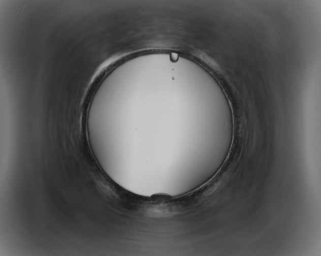 X0000086781222200705041521