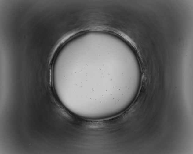 X0000086781223200705041521