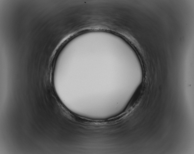 X0000086781224200705041521