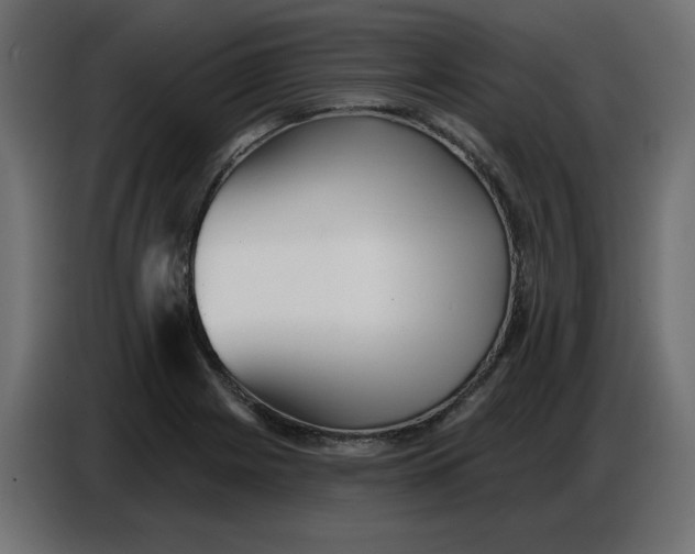 X0000086781225200705041521