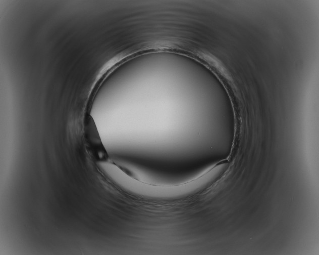 X0000086781226200705041521