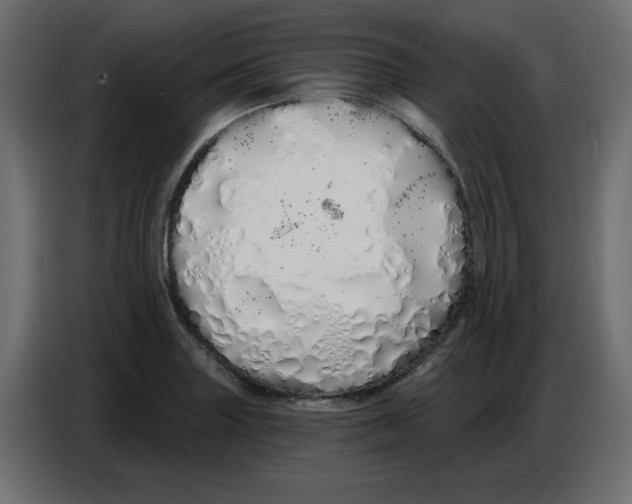 X0000086781227200705041521