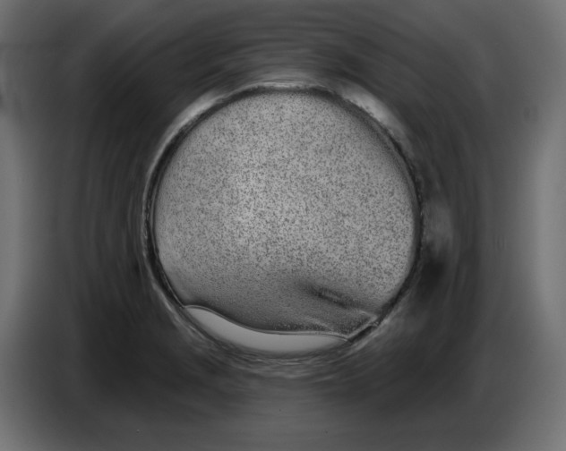 X0000086781229200705041521